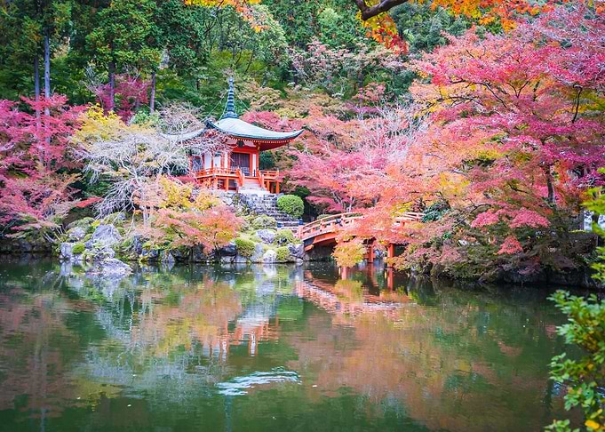 Natures