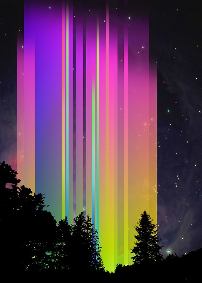 Forest Lights