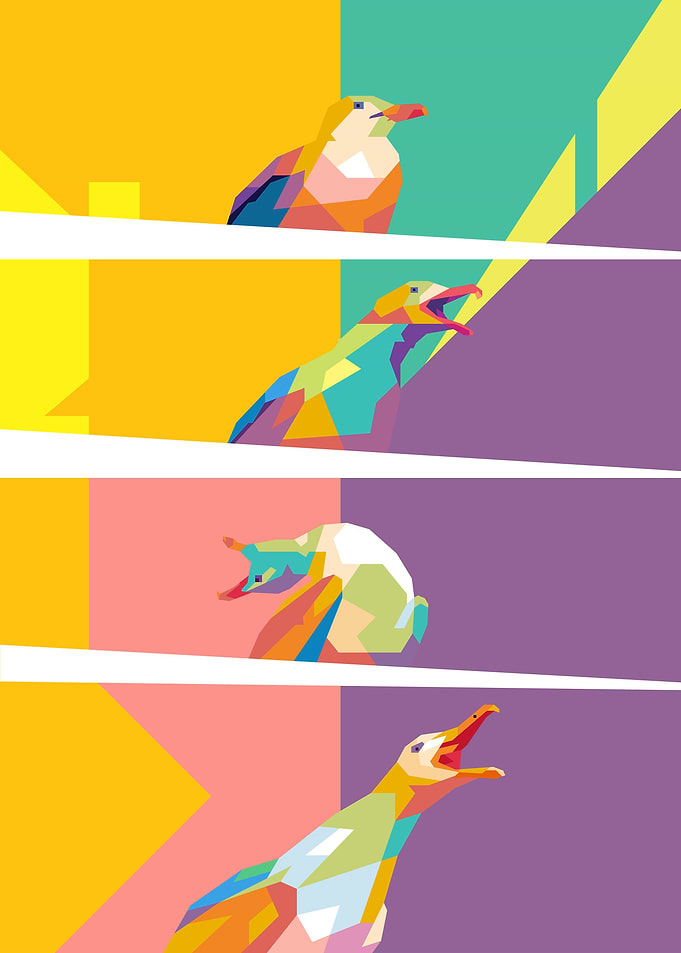 Bird Meme
