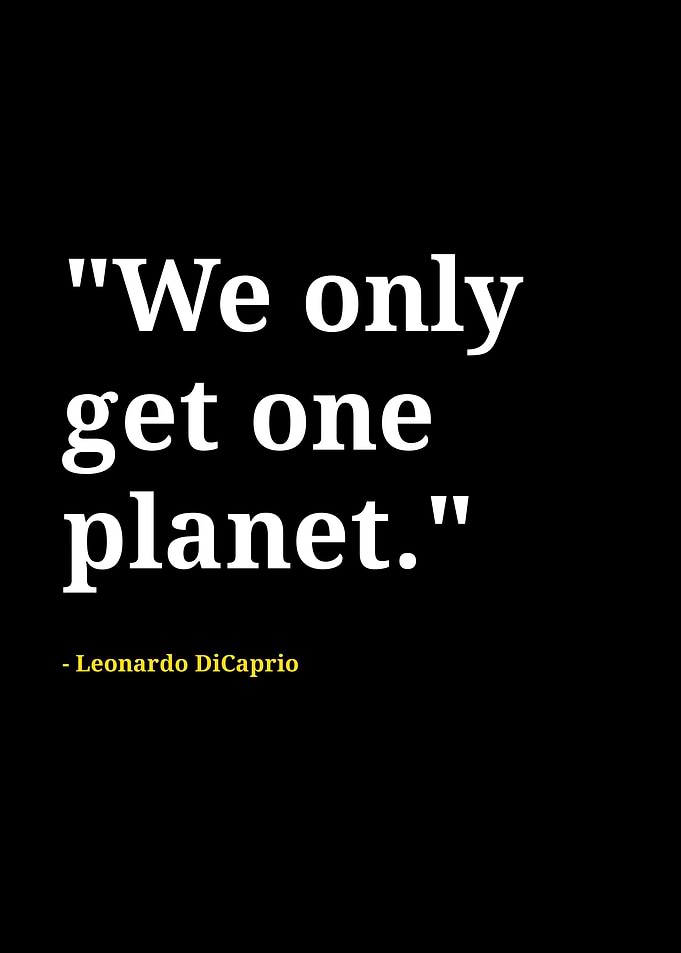 Leonardo Dicaprio quotes