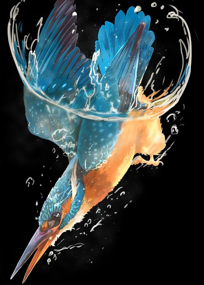 Kingfisher Dive