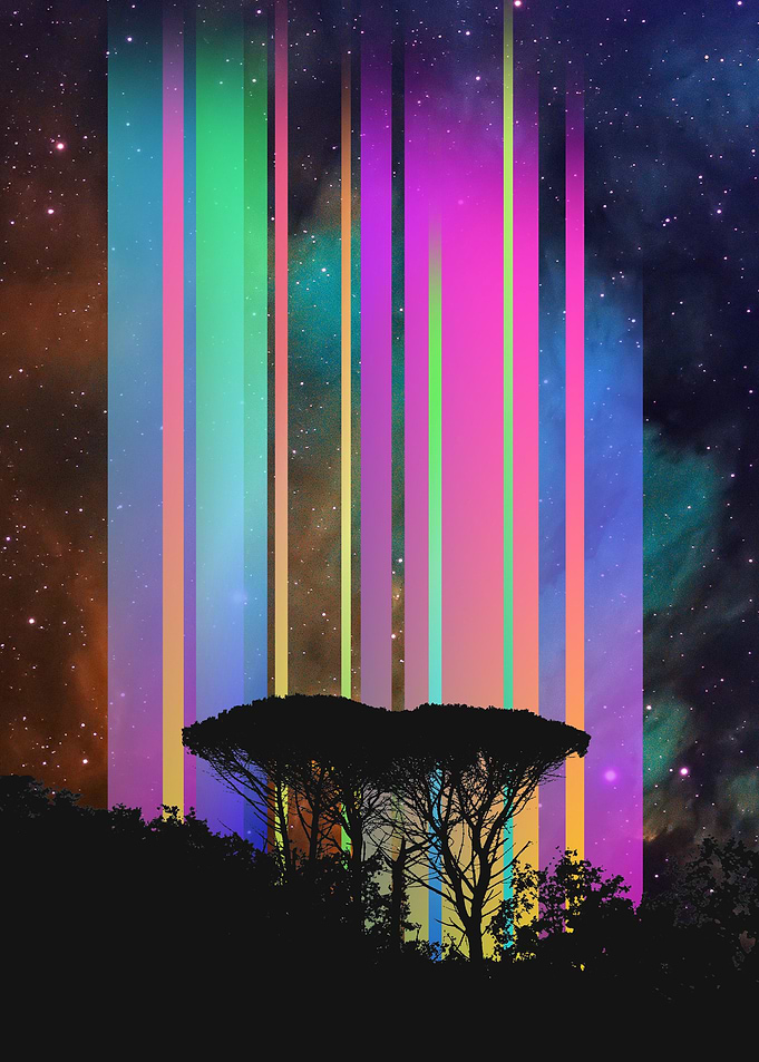 Savana Lights