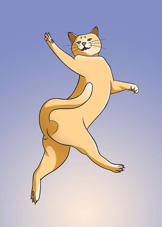 Orange Cat Jump Pose