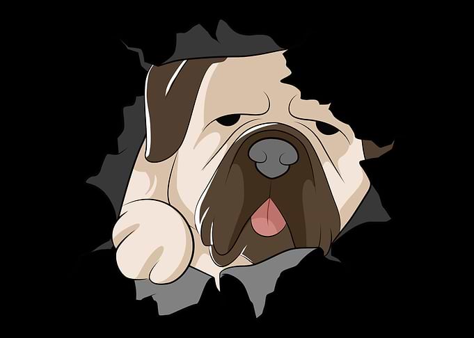 Mastiff