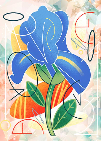Flowers Vibrant Blooms