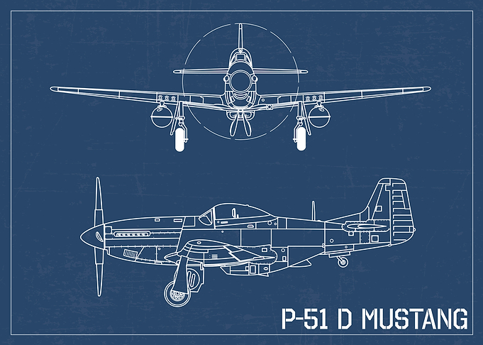 P 51 Mustang WW2 Warbird