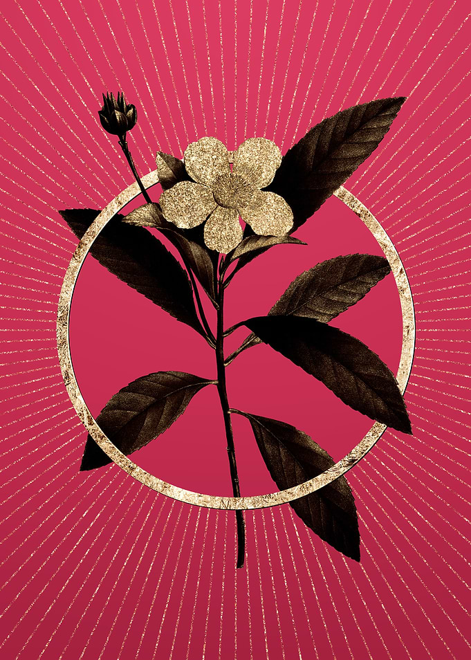 Viva Magenta Loblolly Bay