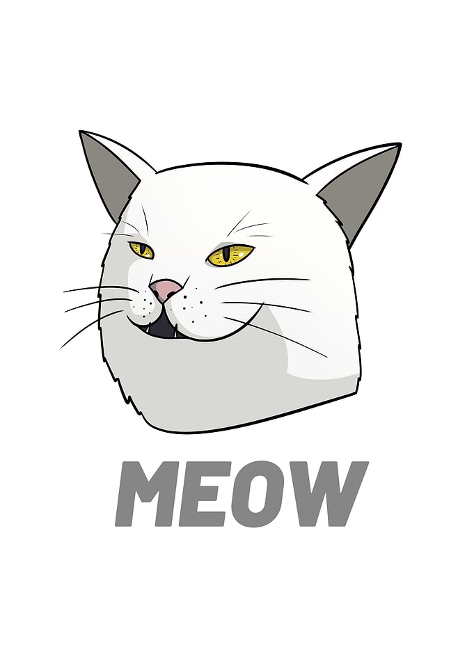 Cute Meow Cat Meme
