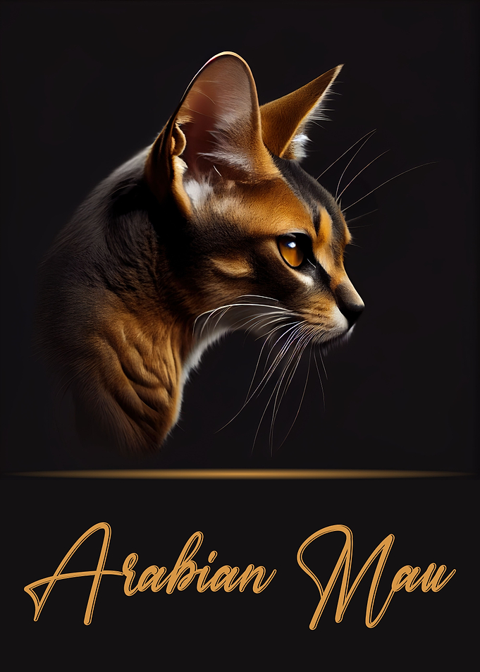 Arabian Mau Portrait