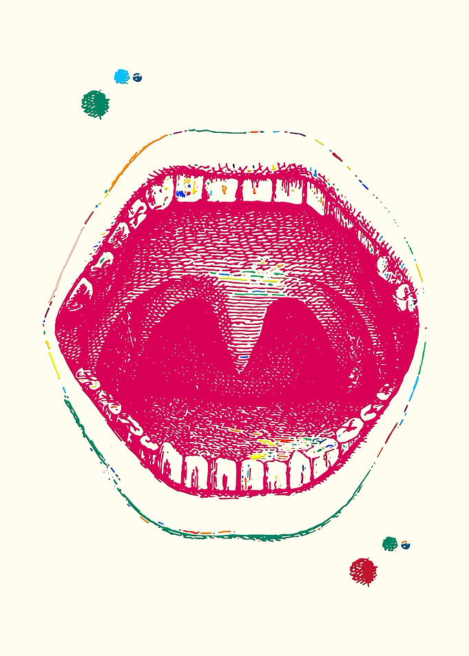 Mouth anatomy