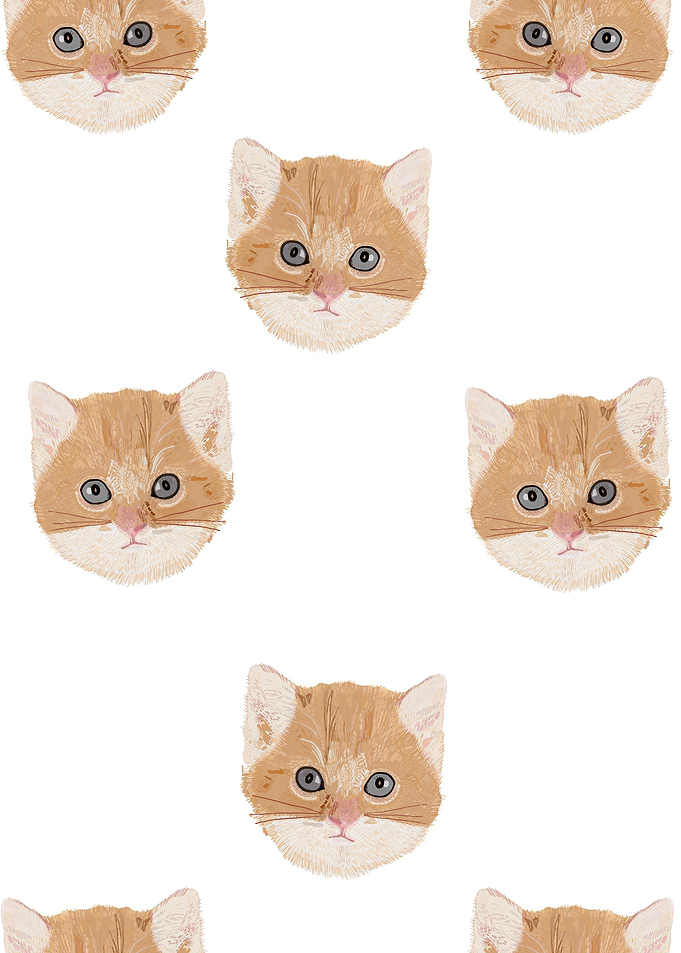 Cute yellow cat head