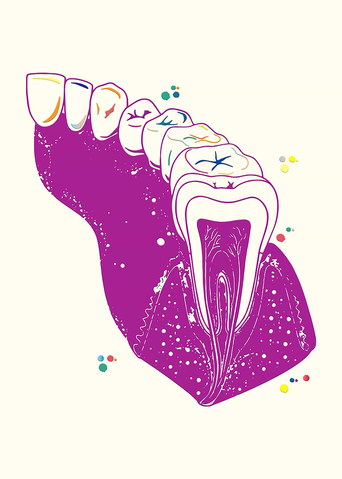 Molar Tooth
