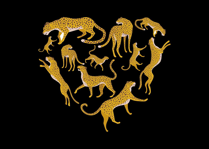 leopard