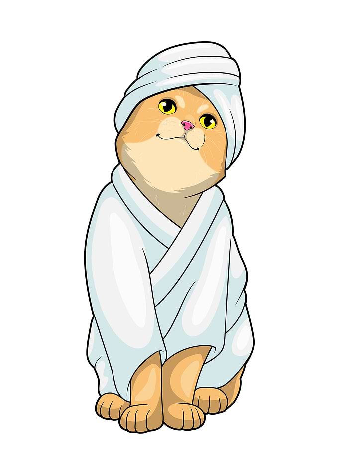 Cat Bath Bathrobe