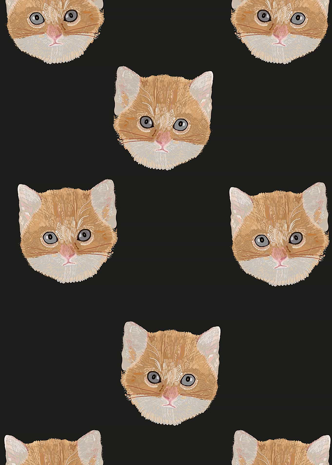 Cute yellow cat head black