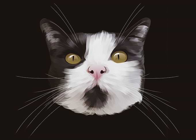 cat 2