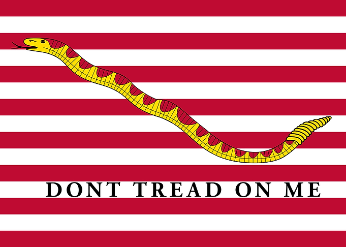 US Naval Jack Flag former