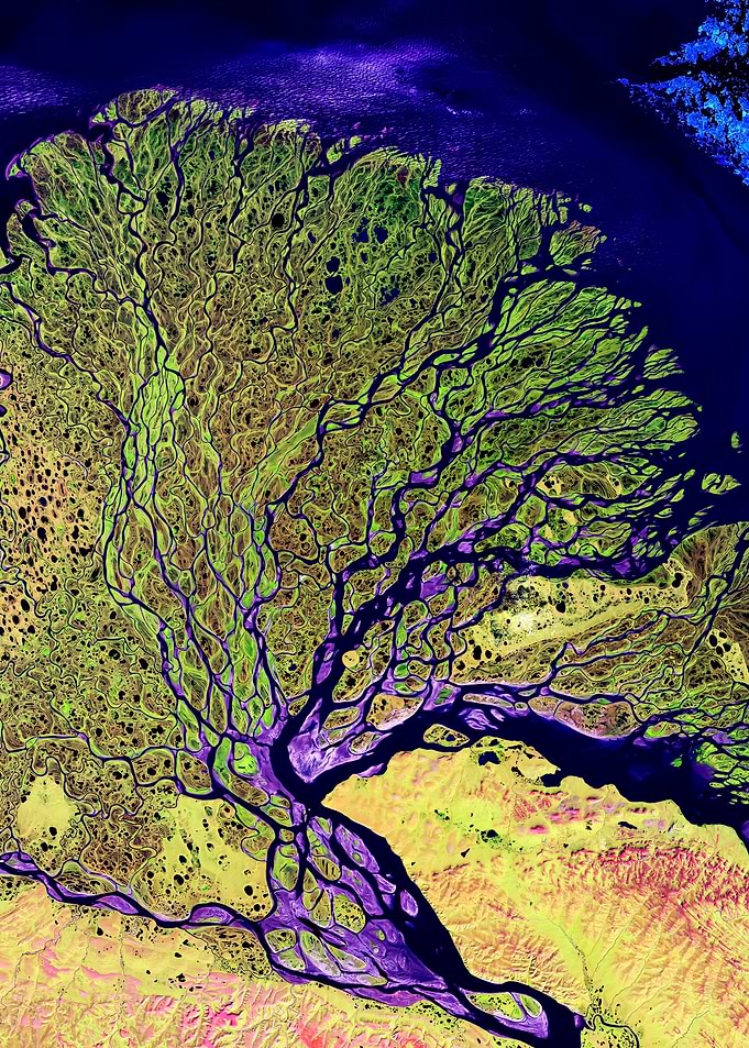 The Lena River