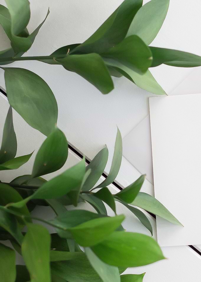 leaves