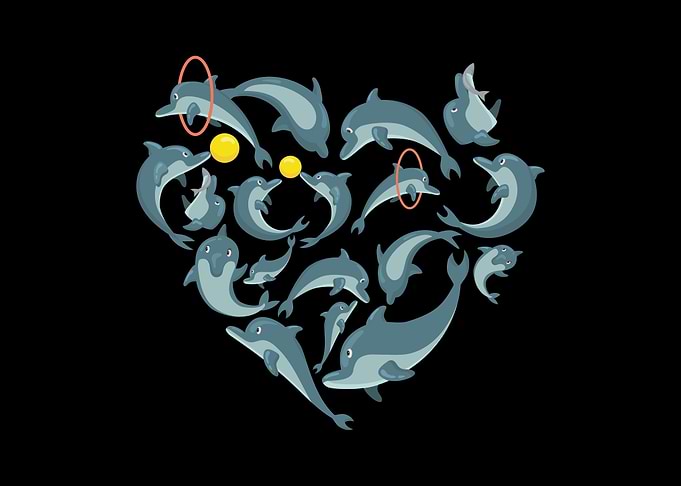 dolphin