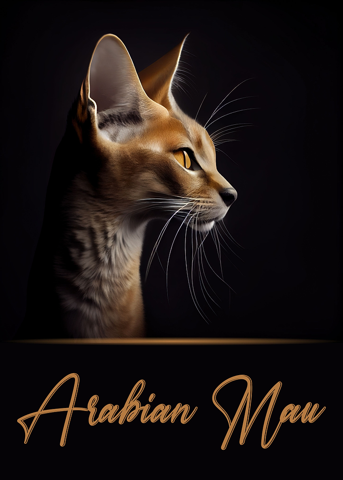 Arabian Mau
