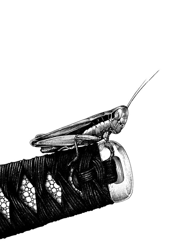 samurai
