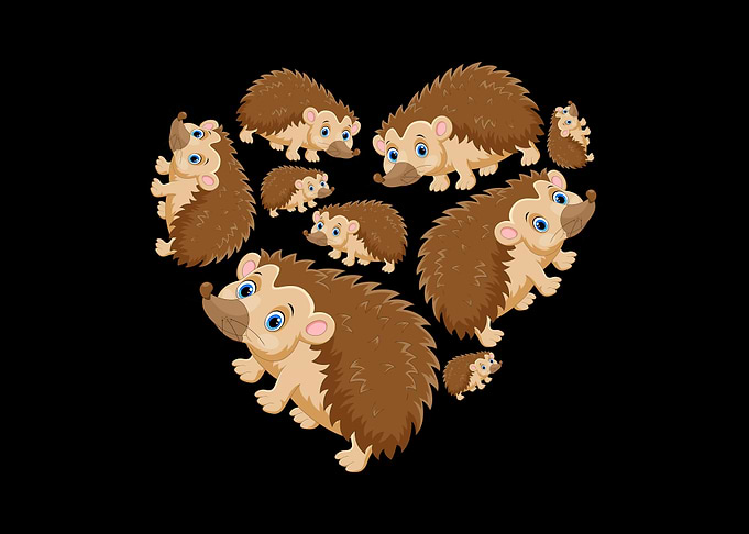 porcupine