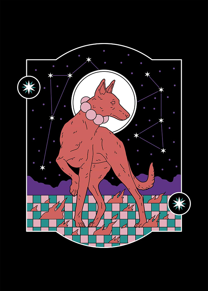 Constellations dog
