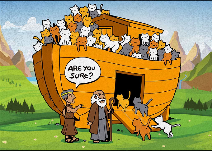 Noahs Ark of Cats