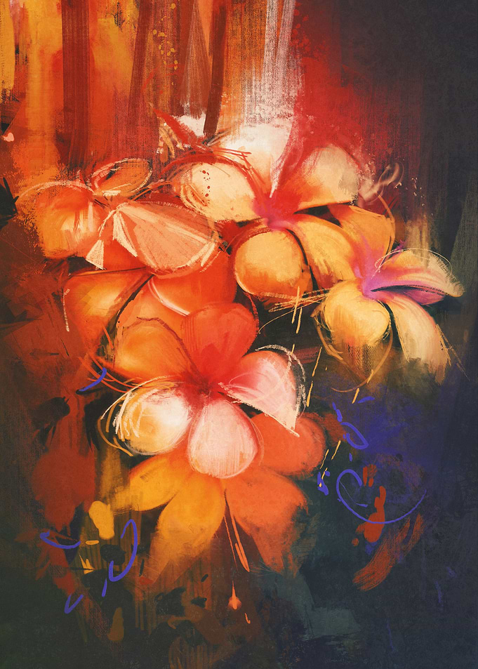 beautiful colors flowers