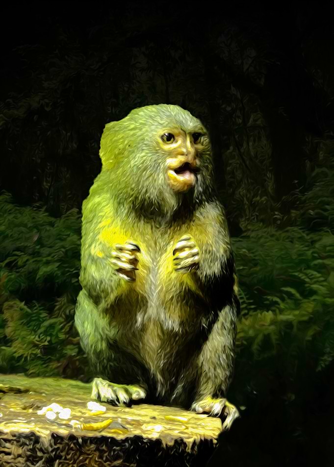 Marmoset