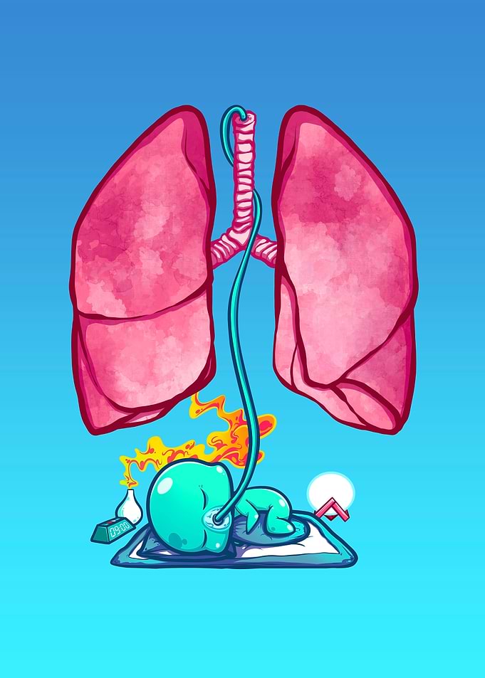 Lung