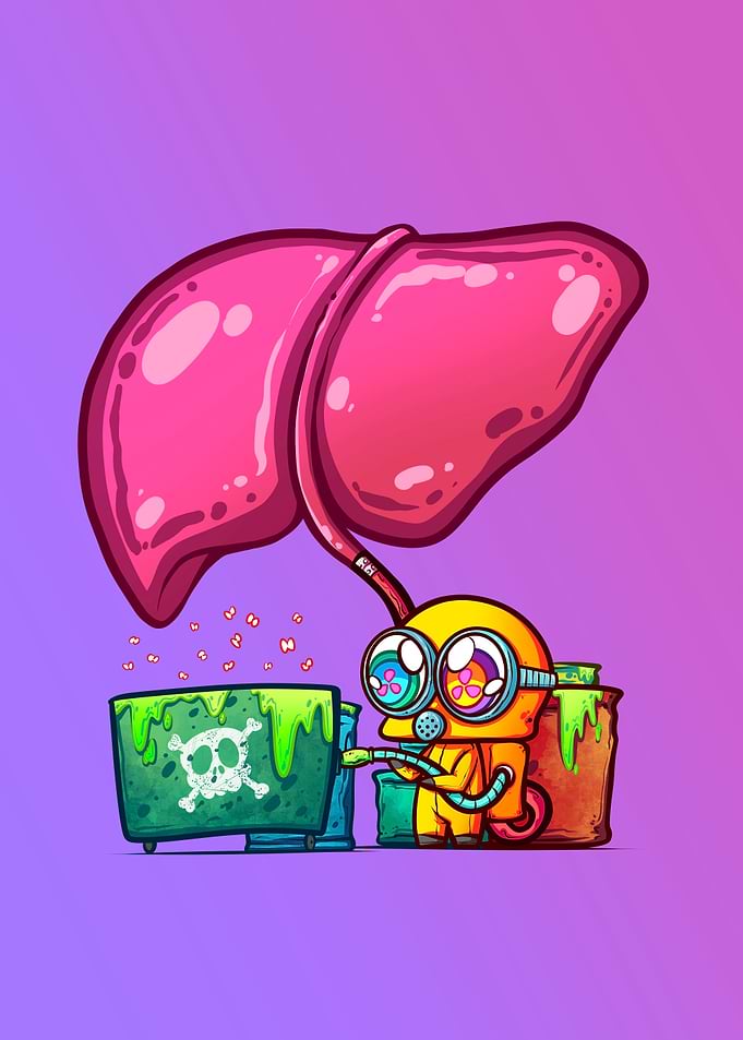 Liver