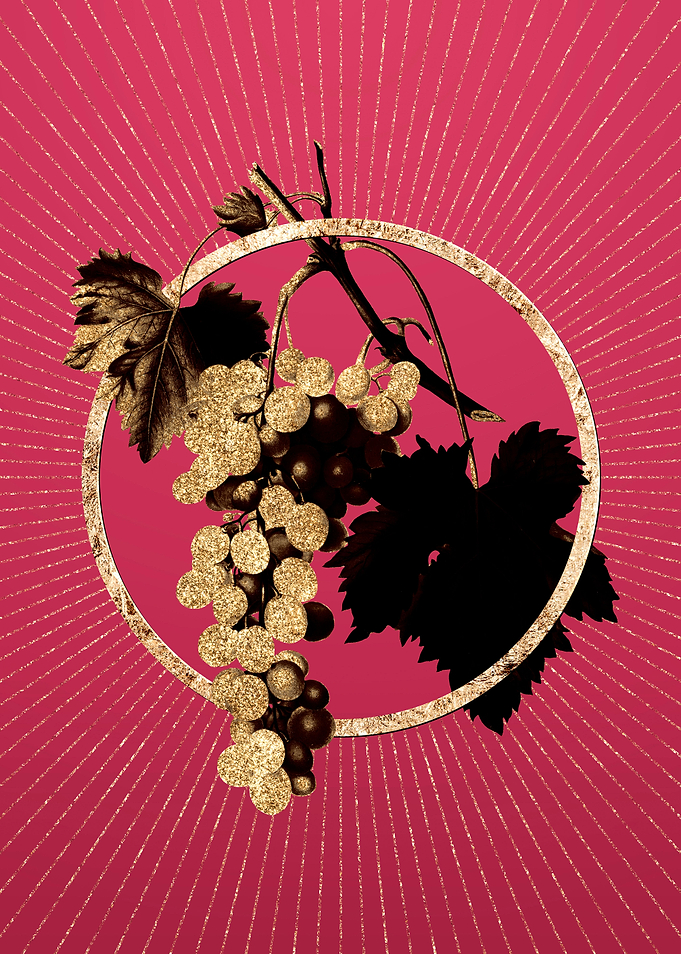 Viva Magenta Muscat Grape