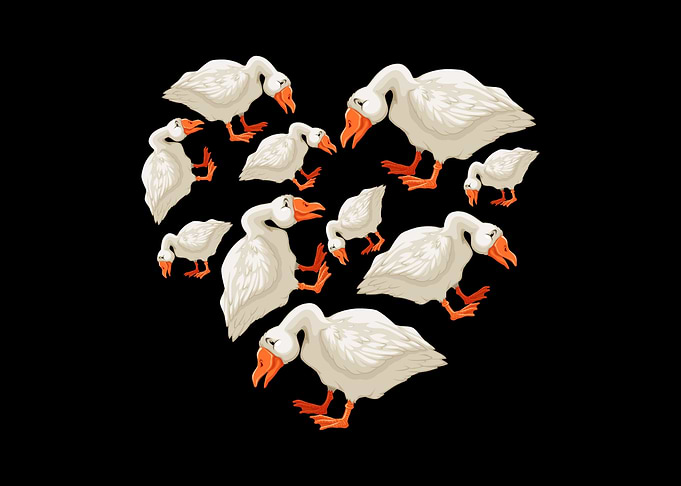 goose