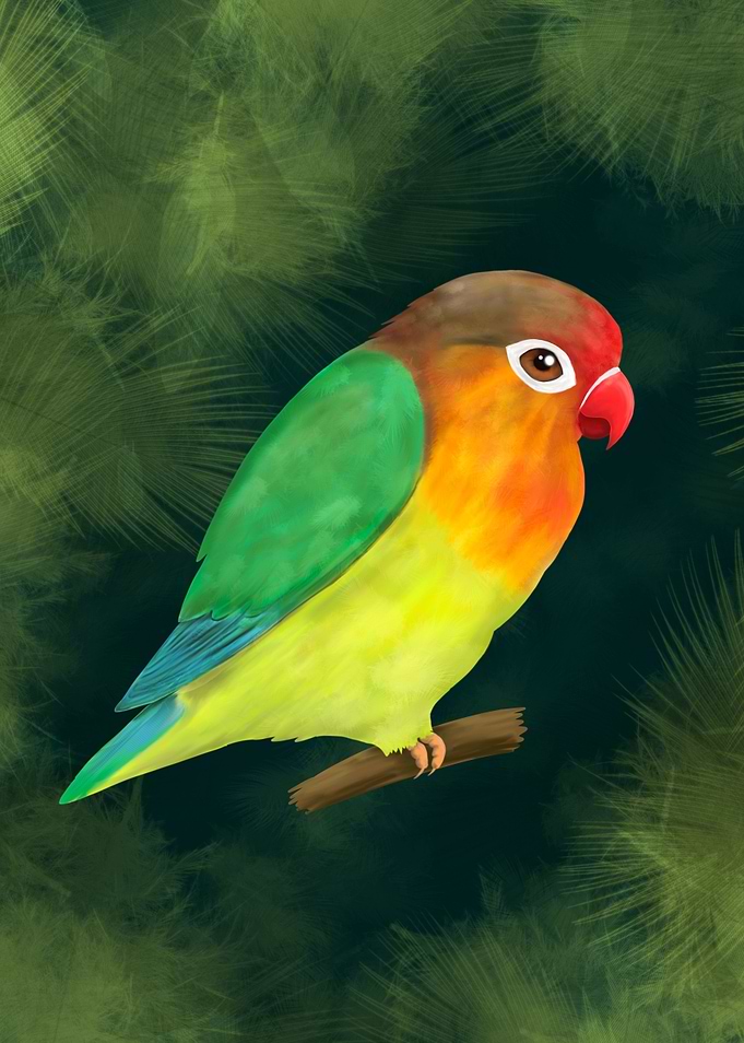 A digital lovebird