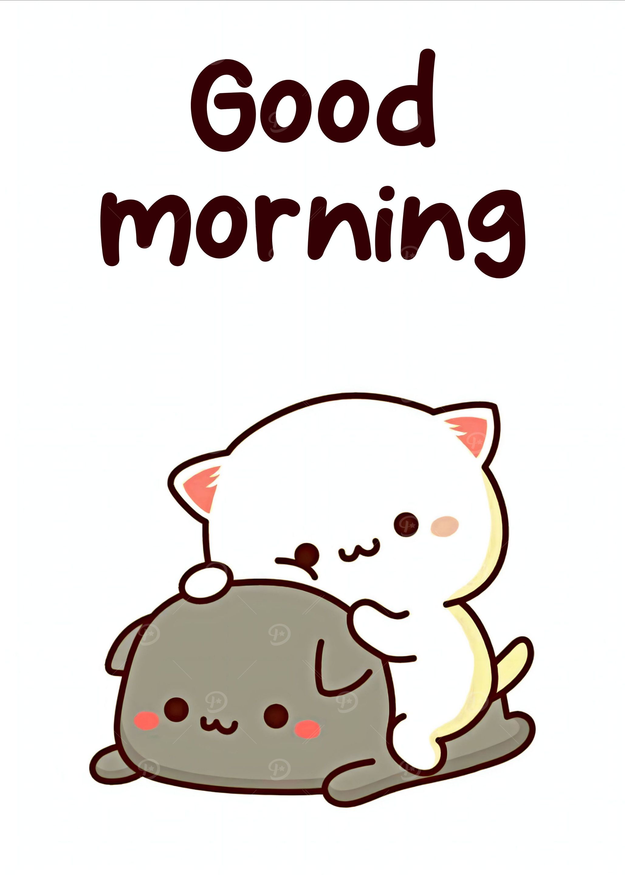 cute animals