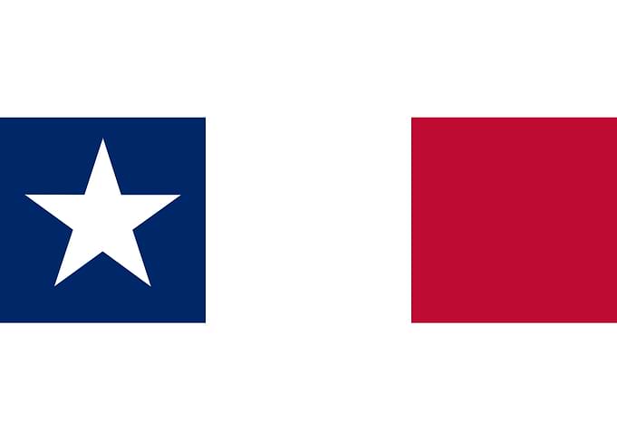 Texas Dodson Flag