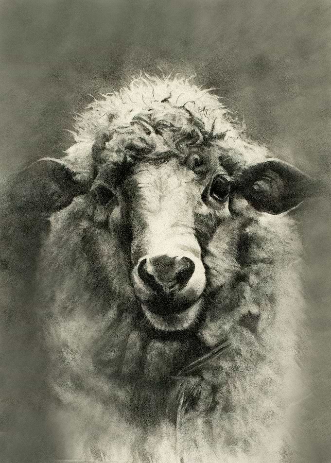 The Holy Lamb