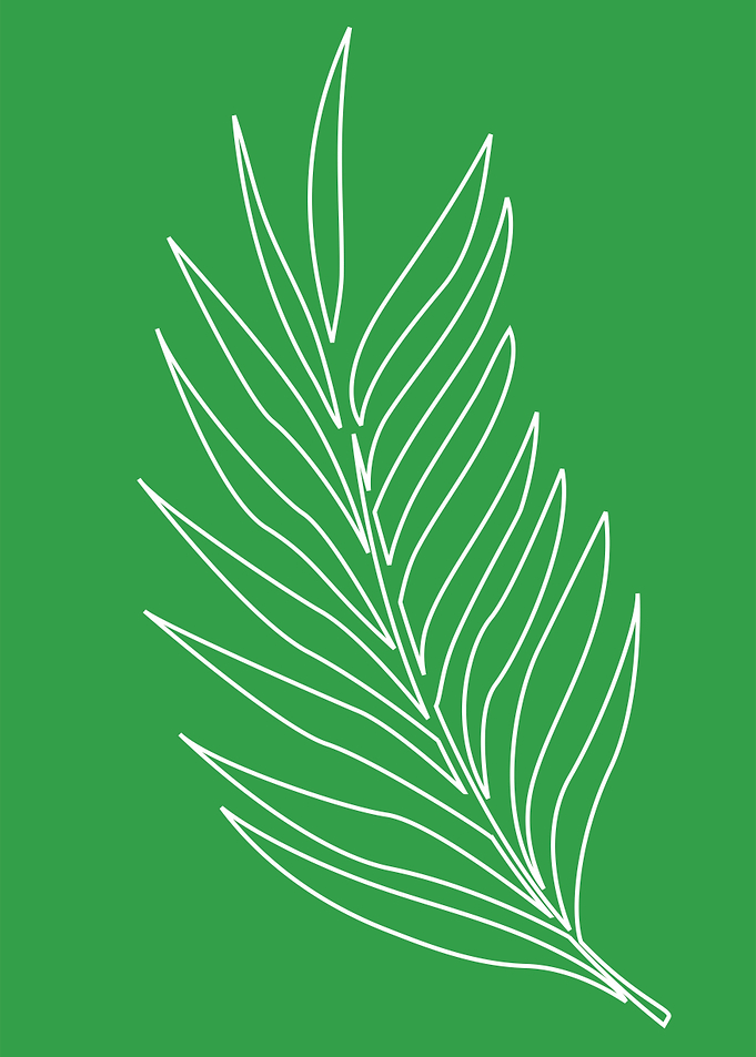 leaf
