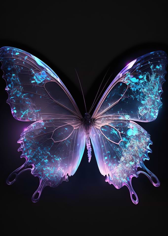 Pink Purple Butterfly