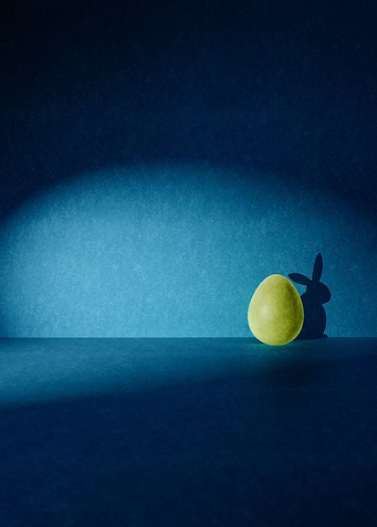 Egg with Rabbit as Shadow