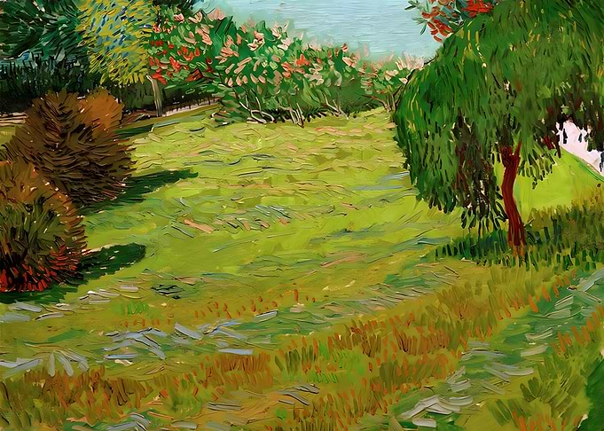 Sunny Lawn in a Park