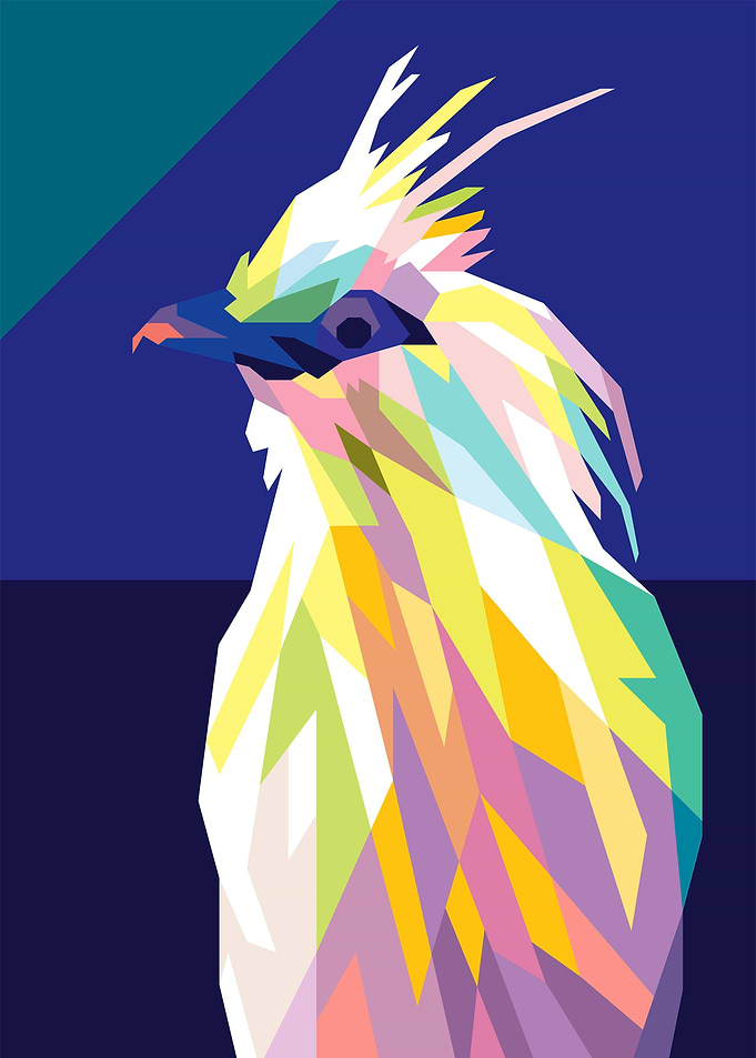 Beautifull Bird