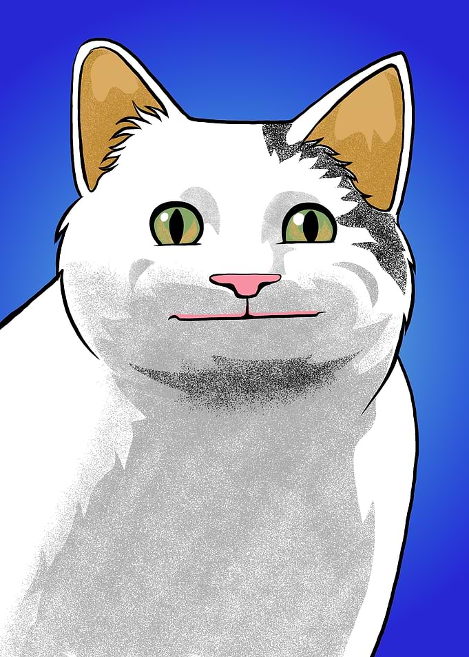 Ollie the Cat