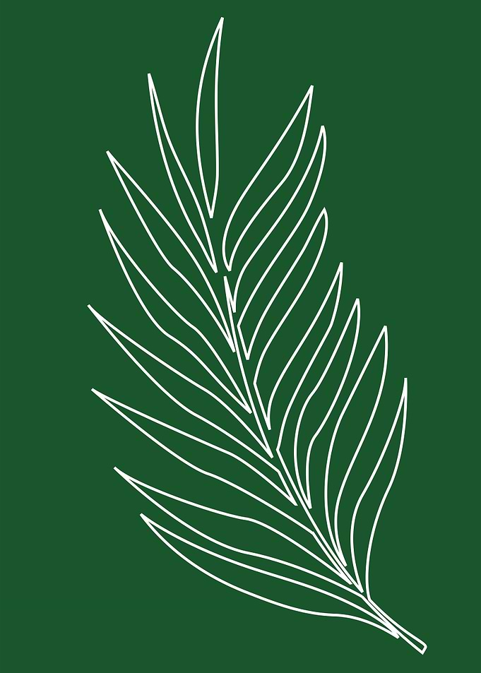 leaf