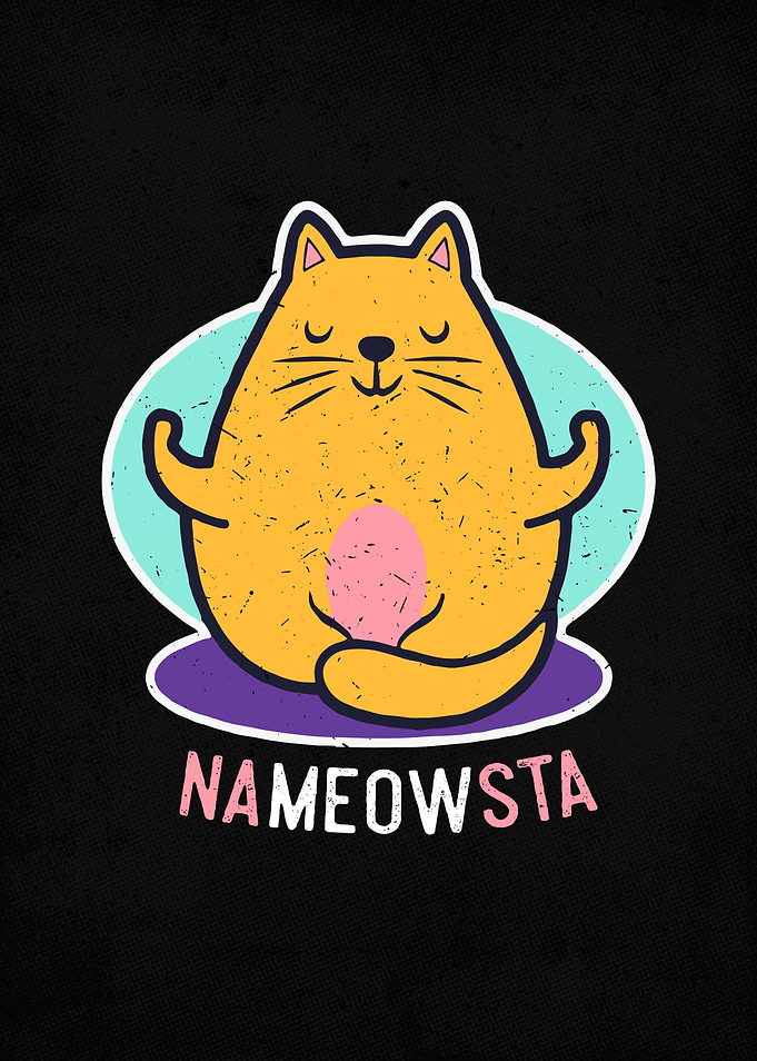 NaMEOWSte Funny Yoga Cat