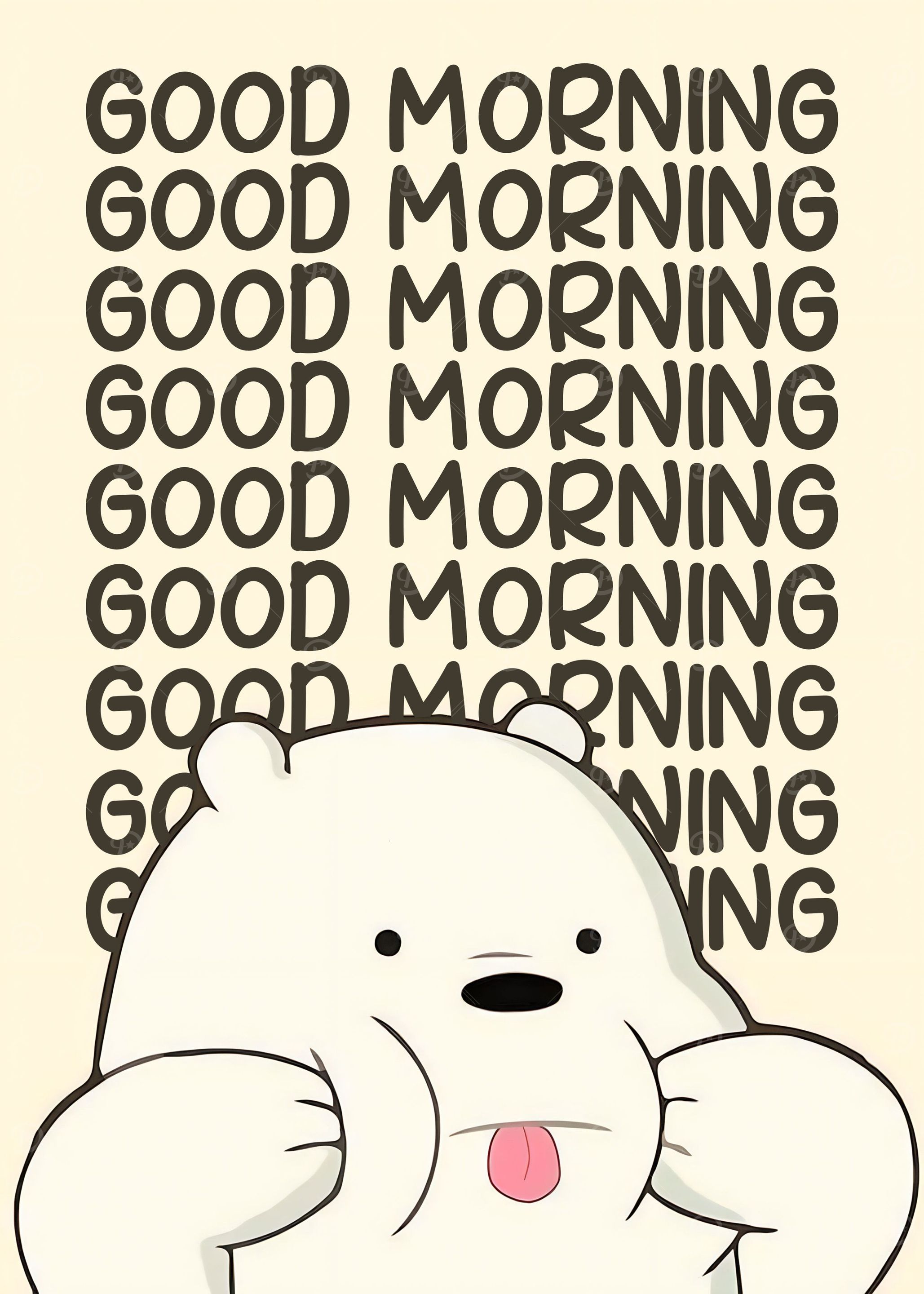 cute bear
