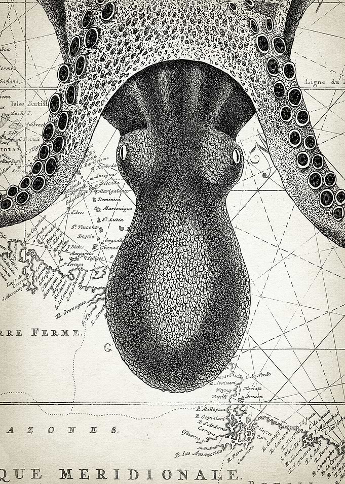 Octopus Map Art Part 5