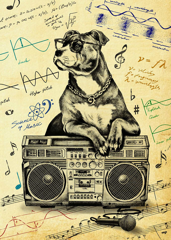 Music Science Dog